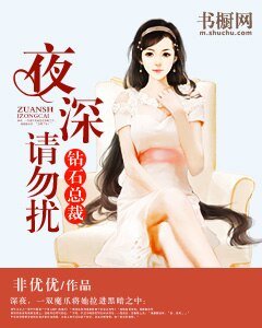 钻石总裁:夜深请勿扰